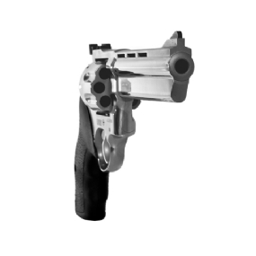 Revolver Taurus RT838 Cal.38 - 8 Tiros - Cano 6,5" - Inox Alto Brilho